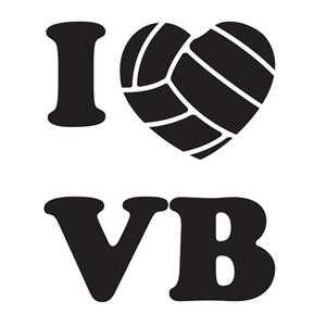 We Love Volleyball